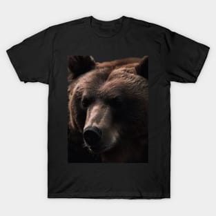 A brown bear in nature that looks cute and cuddly looks warm. ส่ง T-Shirt